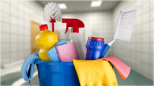Professional Monken Hadley carpet cleaners restoring a clean home interior