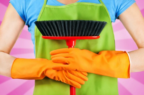 Carpet cleaner assessing a service issue after cleaning