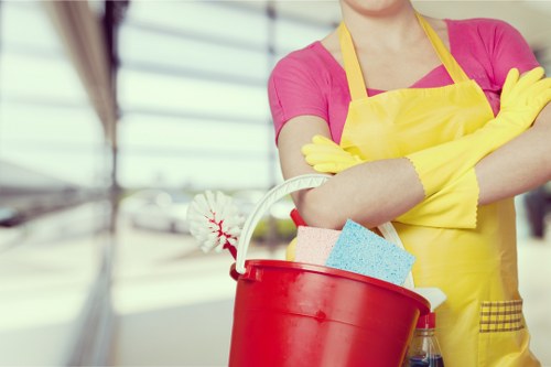 Odour removal process for pet accidents in a Monken Hadley home